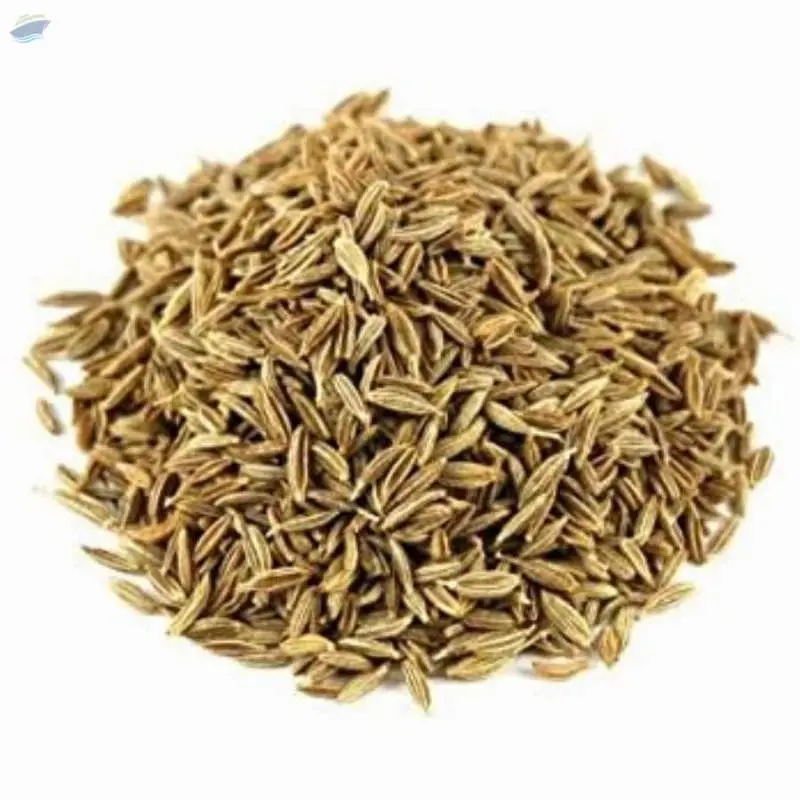 Cumin Seeds