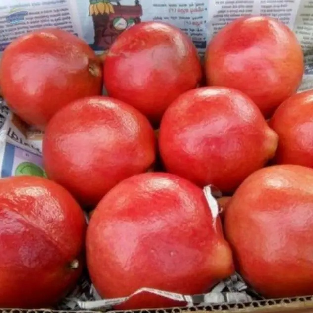 Red Pomegranate
