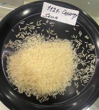 Basmati Rice