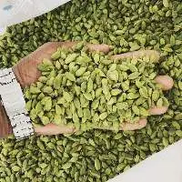 Cardamom