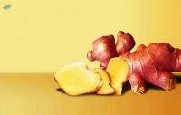 HBN Indonesia Fresh Red Ginger