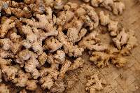 HBN Indonesia Small White Ginger (Java Ginger)