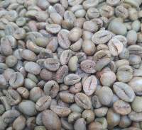 Robusta Green Coffee Beans