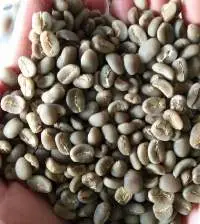 West Java Arabica Grade 1