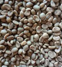 East Java Arabica Grade 1