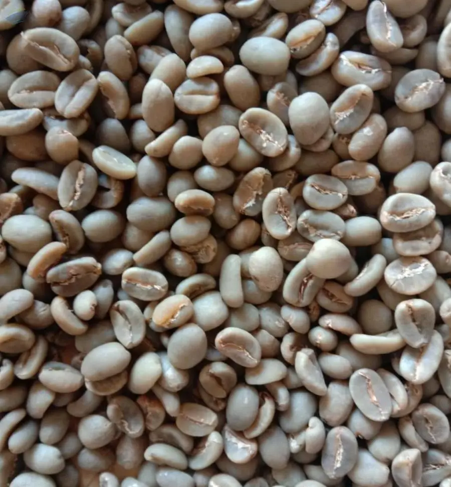 East Java Arabica Grade 1