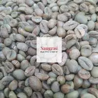 Robusta Java Grade 2