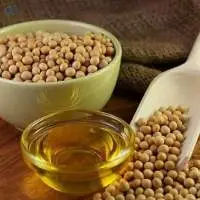 Grade A Refined Soybean Oil