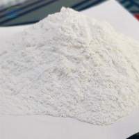 Dolomite Powder