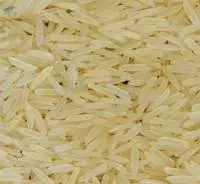 1509 Basmati Rice Golden Sella