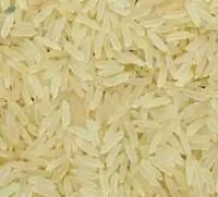PR-11 Rice Golden Sella