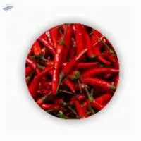 Red Chilly