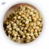 Coriander Seeds