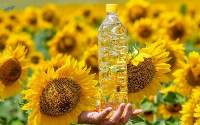 Edible Oils