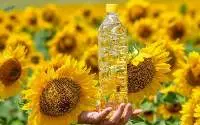 Edible Oils