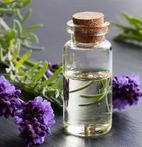 Lavender Essential Oil