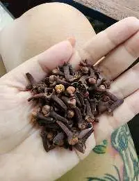 Cloves