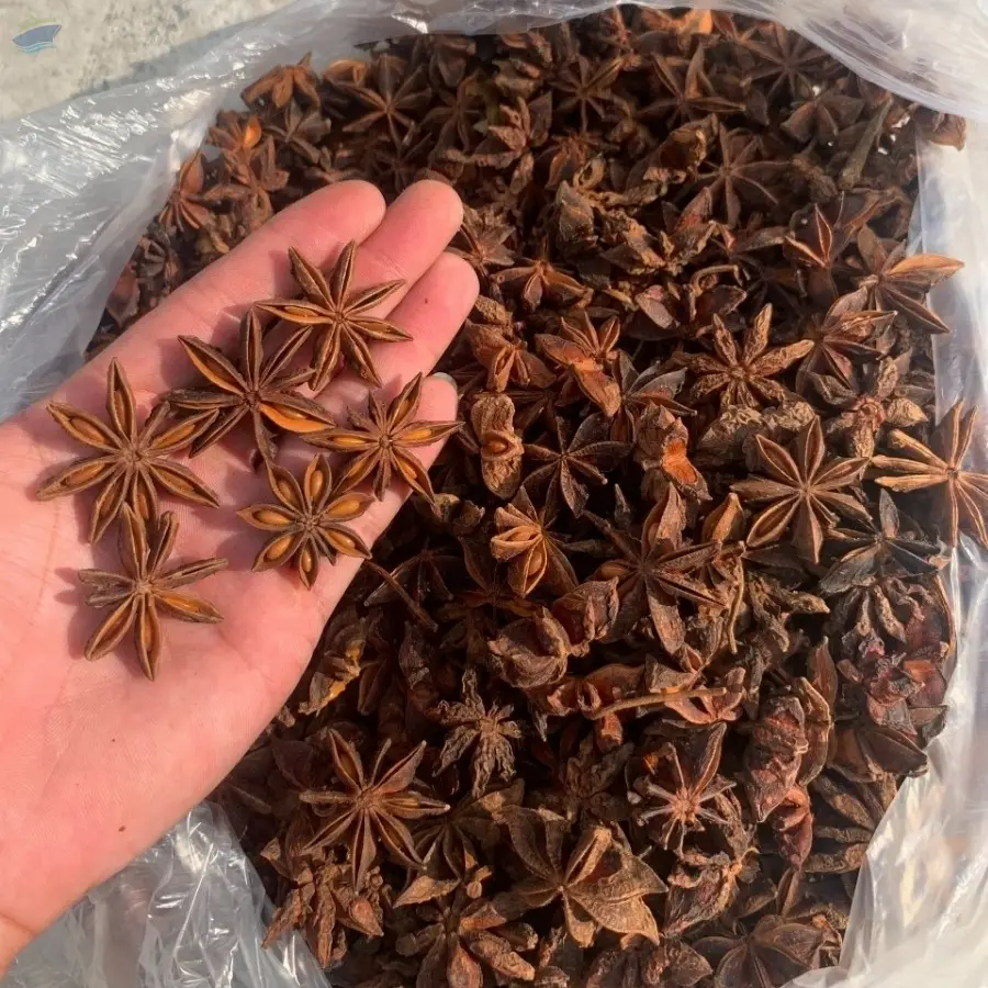 Star anise