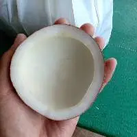Edible Copra