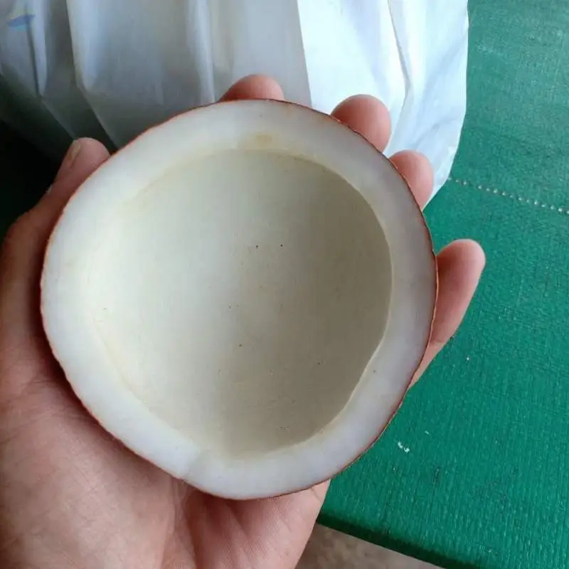 Edible Copra