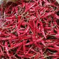 Red Chilli Teja S17