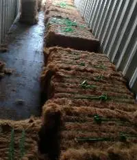 Coconut Fiber