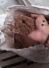 Palm Kernel Meal