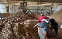 Wood Pellet