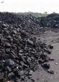 Coal