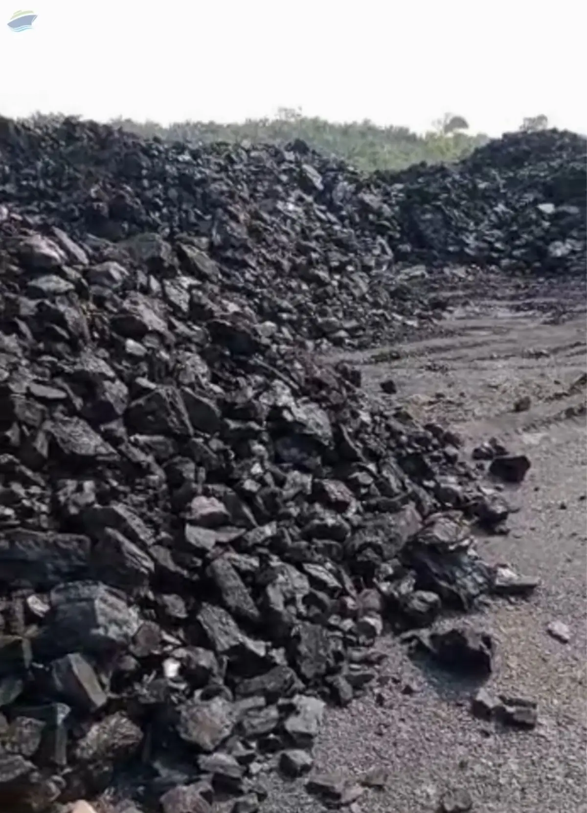 Coal