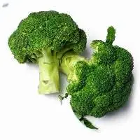 Fresh Vegetables
