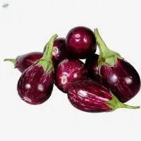 Fresh Vegetables