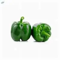 Fresh vegetables