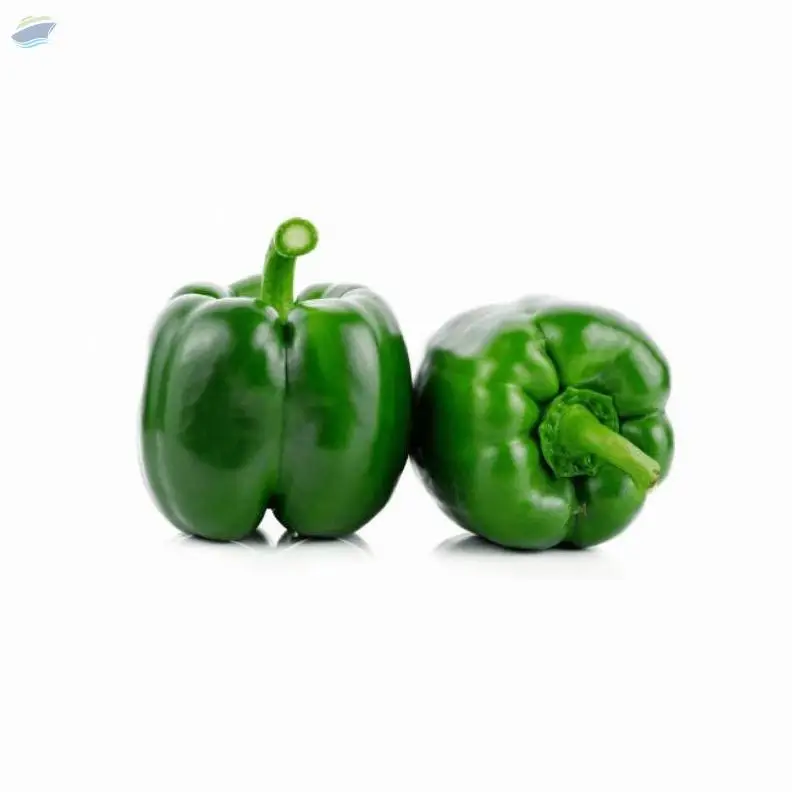 Fresh vegetables