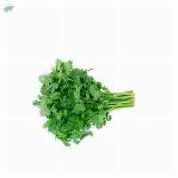 Fresh vegetables