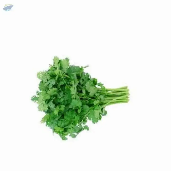 Fresh vegetables