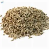 Cumin Seeds