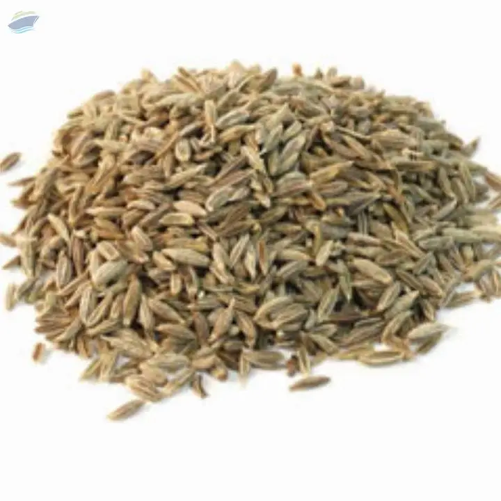 Cumin Seeds
