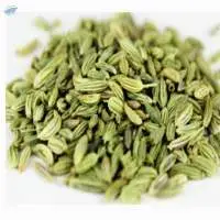 Fennel Seeds