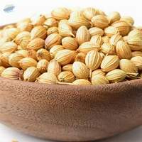 Coriander Seeds
