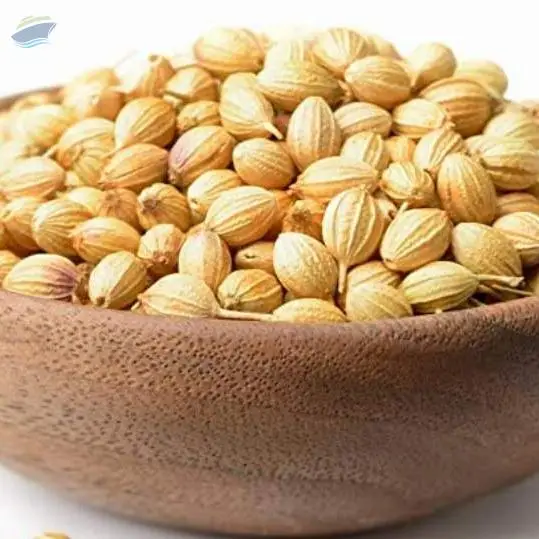 Coriander Seeds