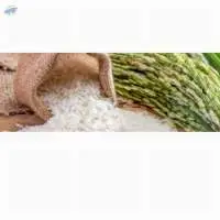 IR 64 Raw Rice