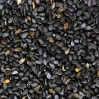 Sesame Seeds
