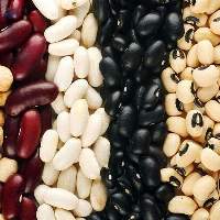 Beans