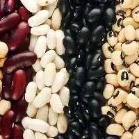 Beans