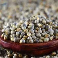 Bajra