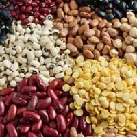 Pulses
