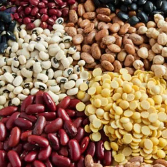 Pulses