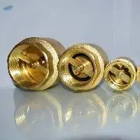 Brass Check Valve ( Vertical)