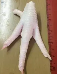 Frozen Chicken Parts Paw Feet MJW etc..